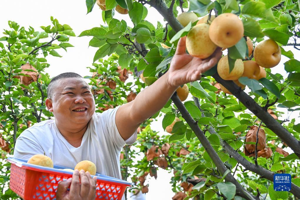 赢咖3娱乐对冲